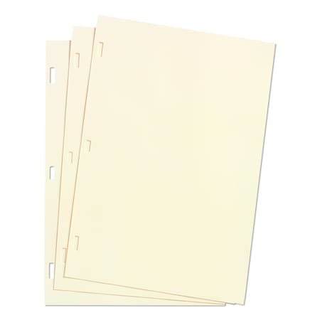 Wilson Jones Minute Book Ledger Sheet, 11x8-1/2, PK100 W901-10